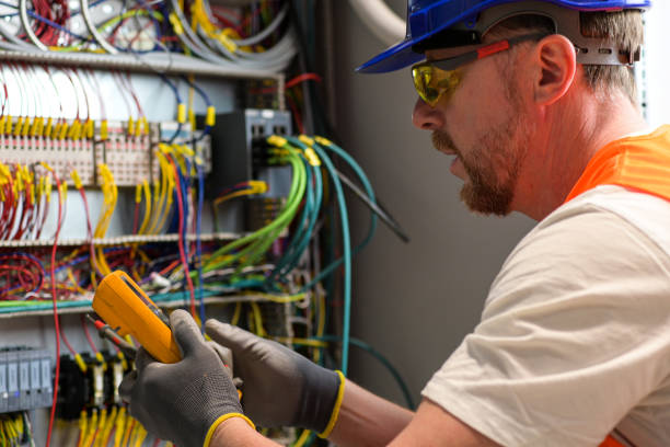 Best Electric Panel Repair  in Lake Butler, FL
